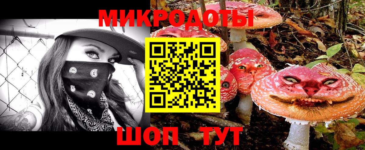 Галлюциногенные грибы мухоморы  купить закладку  Нижнекамск  Вход с VPN  Псилоцибиновые грибы Cubensis 