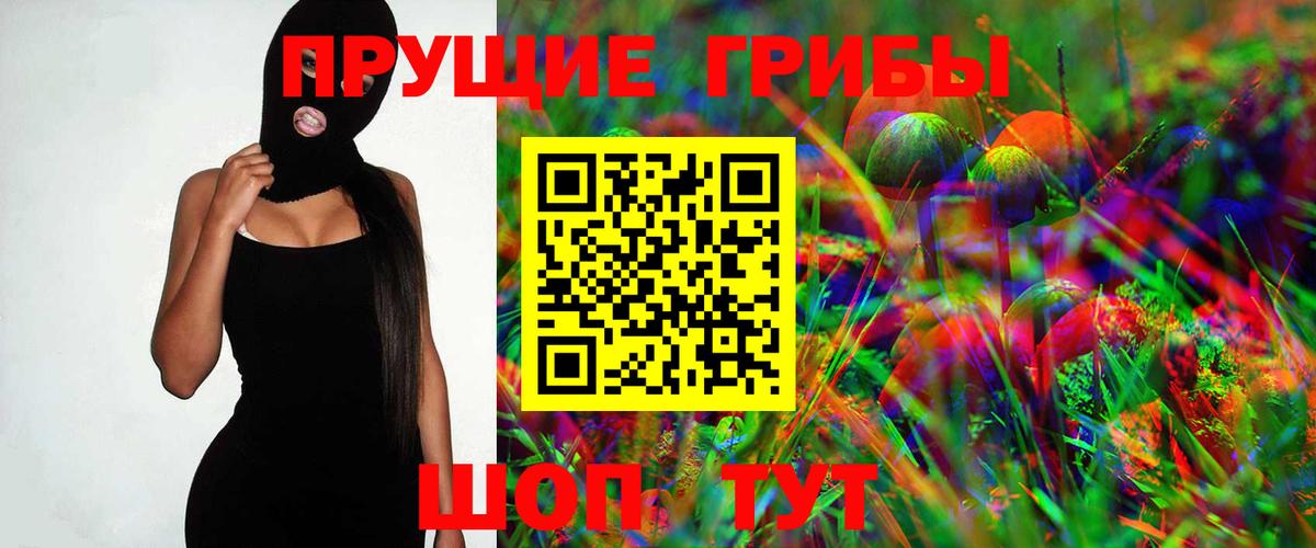 Галлюциногенные грибы Psilocybe Нижнекамск